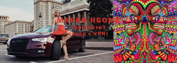 гашик Нефтекумск