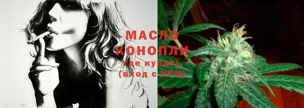стаф Нея