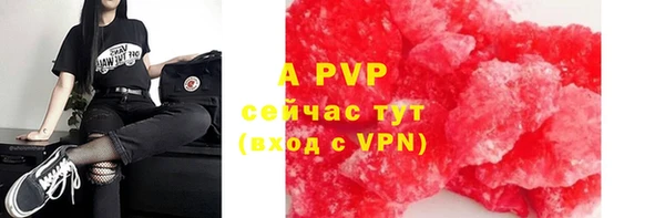 гашик Нефтекумск