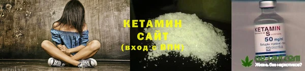 стаф Нея