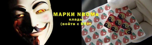 стаф Нея
