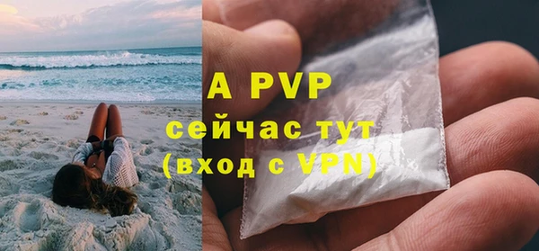 амф Новокубанск